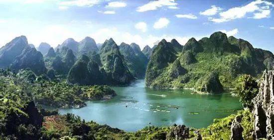广东1100多岁古榕树倒塌，古榕树还能被抢救回来吗？游戏画面